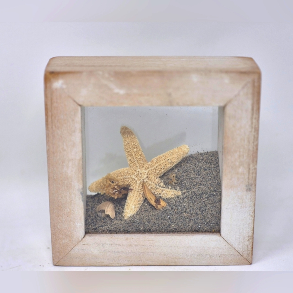 Natural Starfish Nautical Shadow Box Decor
